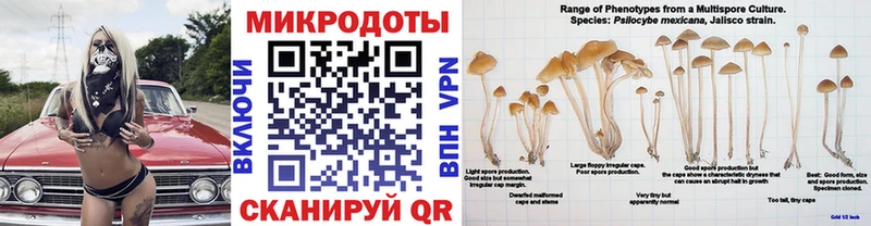Галлюциногенные грибы мицелий Верея