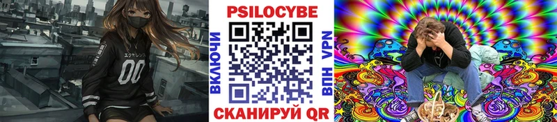 Псилоцибиновые грибы GOLDEN TEACHER  KRAKEN рабочий сайт  Верея 